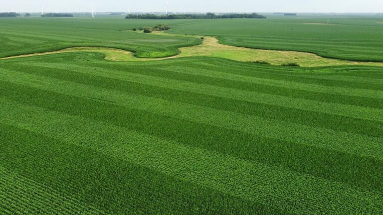 Hokeness Grain field