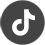 tiktok icon